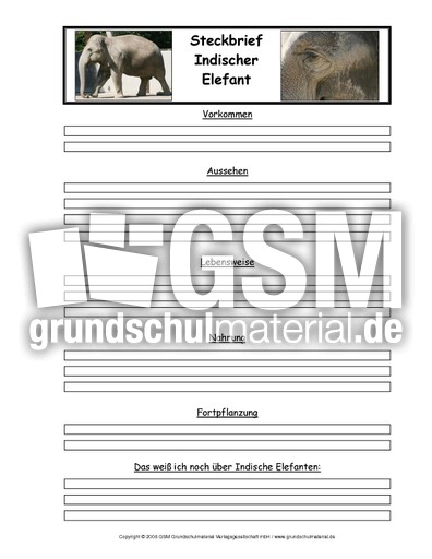 Indischer-Elefant-Tiersteckbriefvorlage.pdf